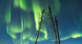 Sonnenfleck 2253 - Erste M-Klasse Sonneneruption 8 Taken by Marketa S Murray on January 2, 2015 @ Fairbanks, Alaska. Found on https://spaceweathergallery.com/