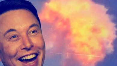 SpaceX-Rakete explodiert - und Elon Musk freut sich! 3