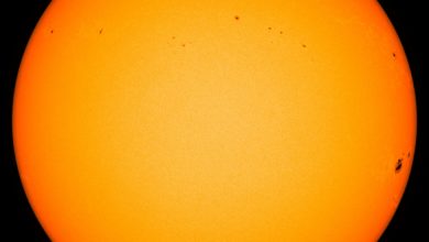 Sichtbare Sonnenflecken am 24.01.2023