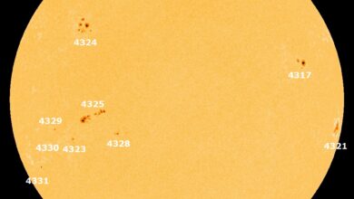 Aktuelle Sonnenflecken 30.12.2025