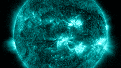 X1.1 Sonnenflare 30. Juni 2026